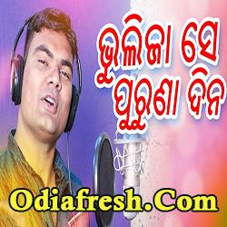 Bhulija Se Puruna Dina,Odia New Sad Song by Sunil Mangaraj